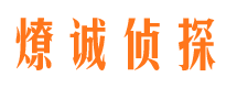 西峡侦探